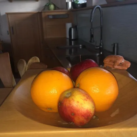 In Der Natur Urlaub Machen Apartment