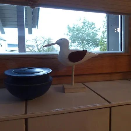 Apartment In Der Natur Urlaub Machen *